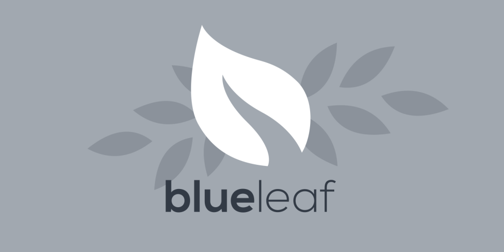 Customer Service needs to be Measurable: Customer Support at Blueleaf